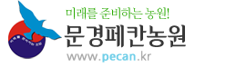 처음으로