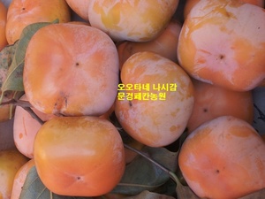 감(10kg)